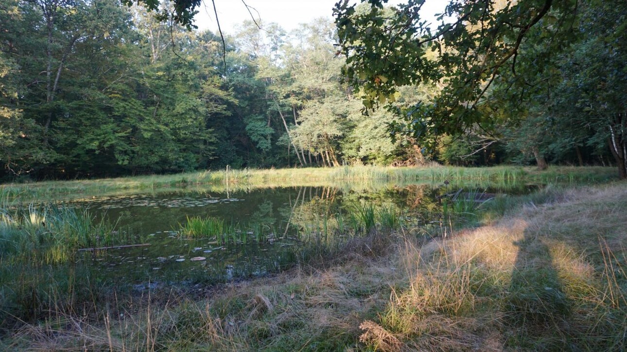 Photos 12 - Touristique - Propriété avec Deux Maisons et un Gîte sur 7,3 ha