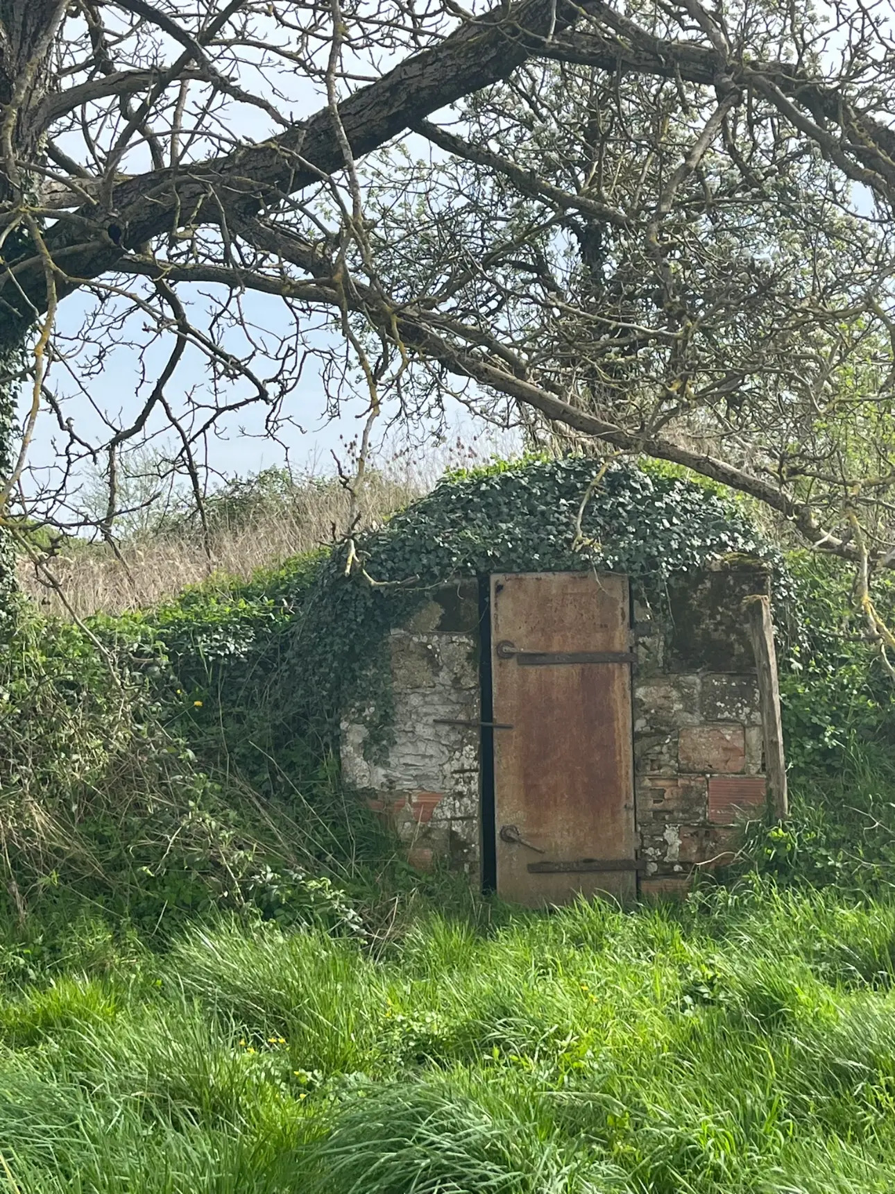 Photos 12 - Équestre - Sur 5 Hectares libres Ferme isolée de 150 m² au sol