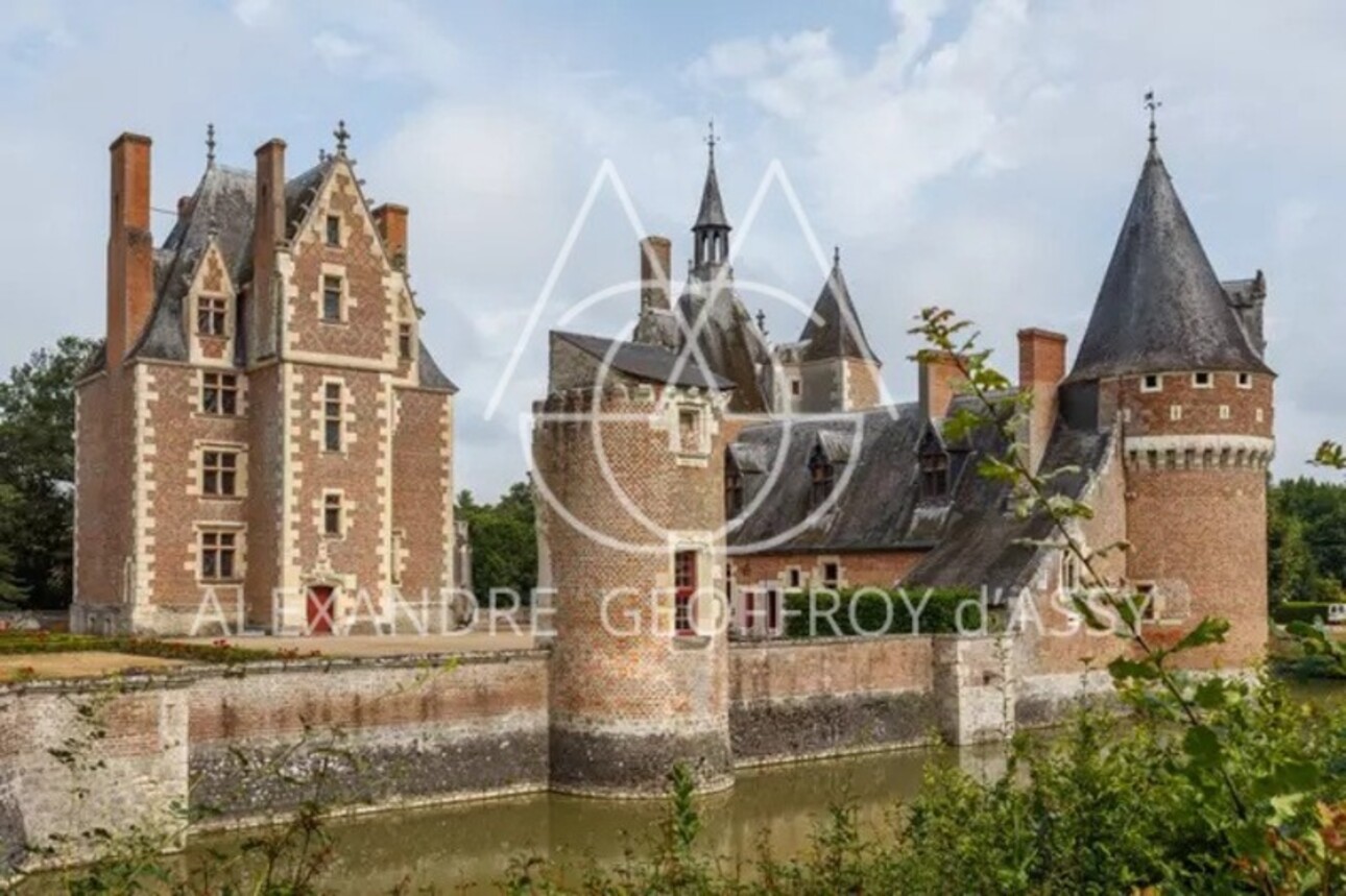 Photos 3 - Prestigious - Vente d'un magnifique château du 15eme (ISMH) en Sologne sur 40ha