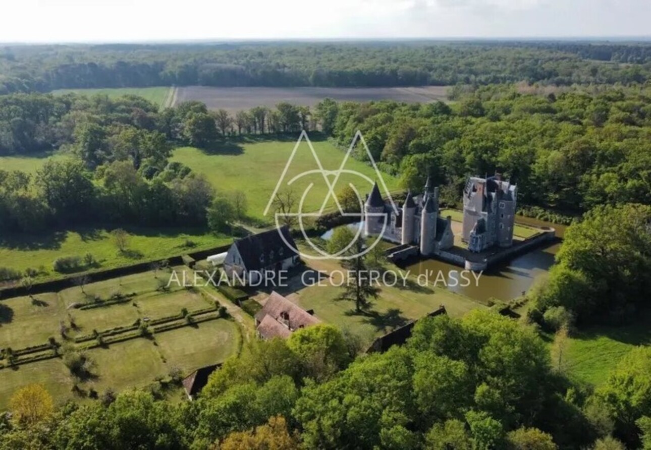 Photos 5 - Prestigious - Vente d'un magnifique château du 15eme (ISMH) en Sologne sur 40ha