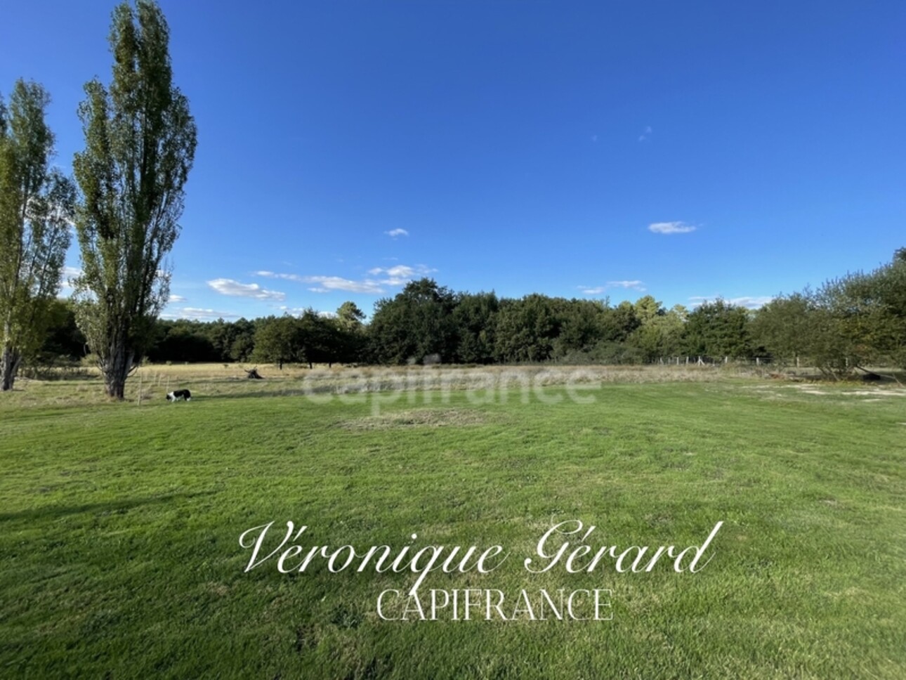 Photos 21 - Tourist - Ancien Corps de ferme de 158 M2 et 247 M2 au sol, avec grange et atelier sur 10 hectares de bois et près