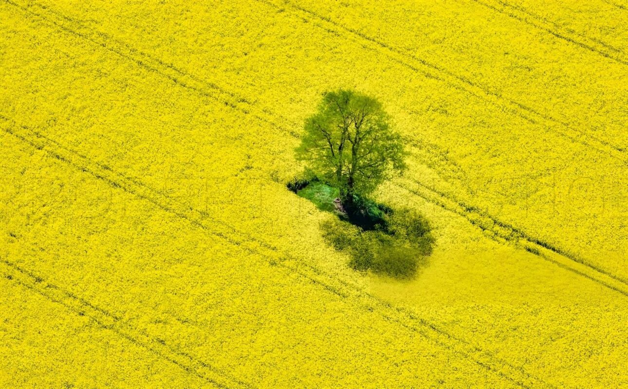 Photos 3 - Agricultural - NOUVELLE AQUITAINE – EXPLOITATION AGRICOLE – 130 HA