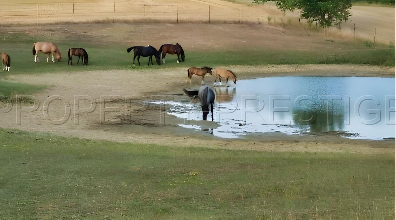 Photos 4 - Equestrian - AUDE PROPRIETE RURALE 60 HA