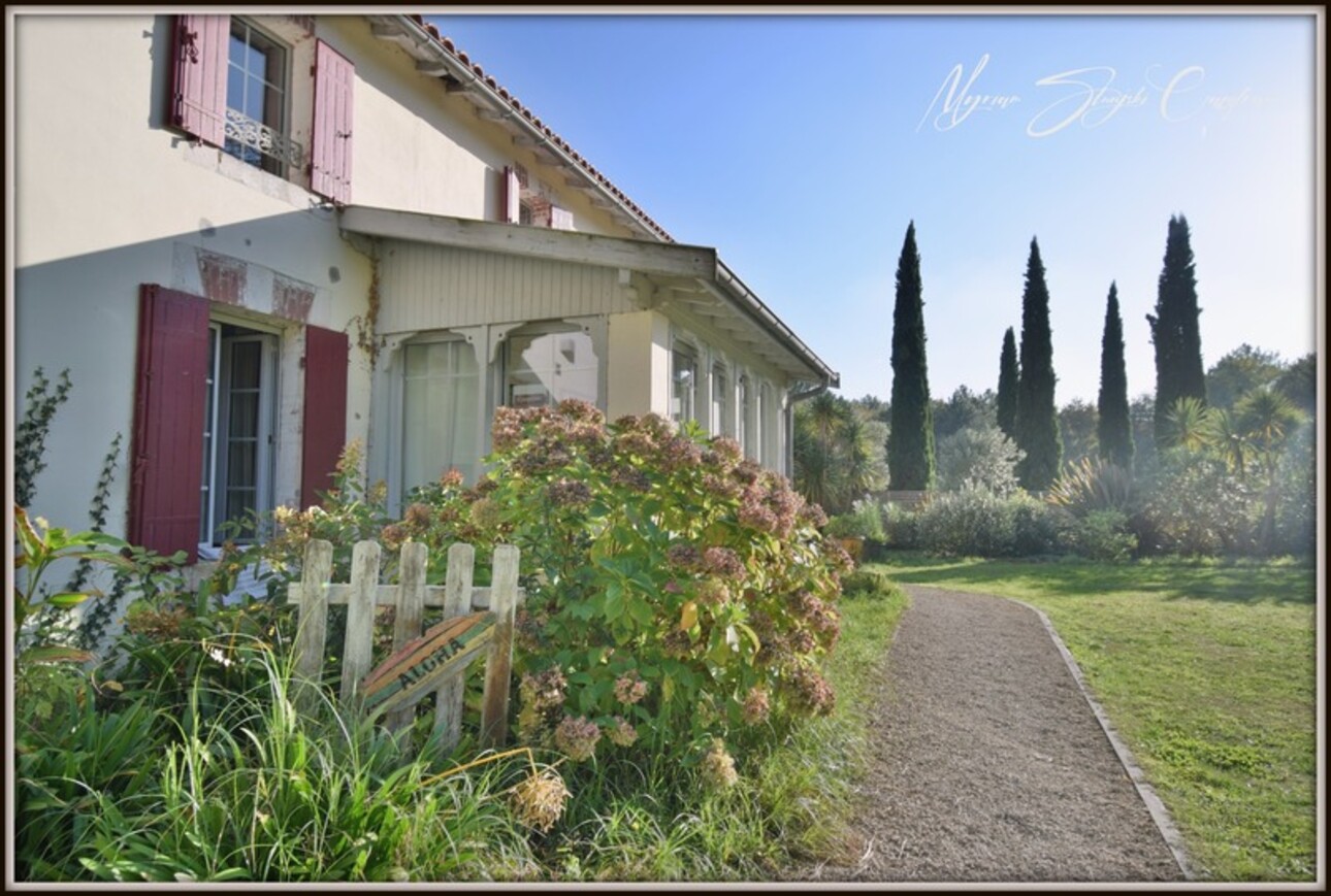 Photos 30 - Équestre - PROCHE DE BISCARROSSE Propriété à vendre T10 de 360 m² environ (40) SUR 5 HECTARES