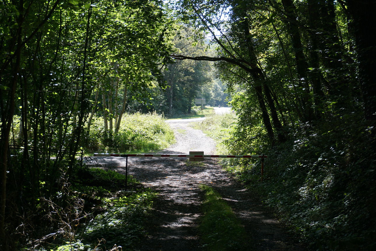 Photos 1 - Forest - Forêt mixte péri-urbaine de 5,8 ha dans le Puy-de-Dôme