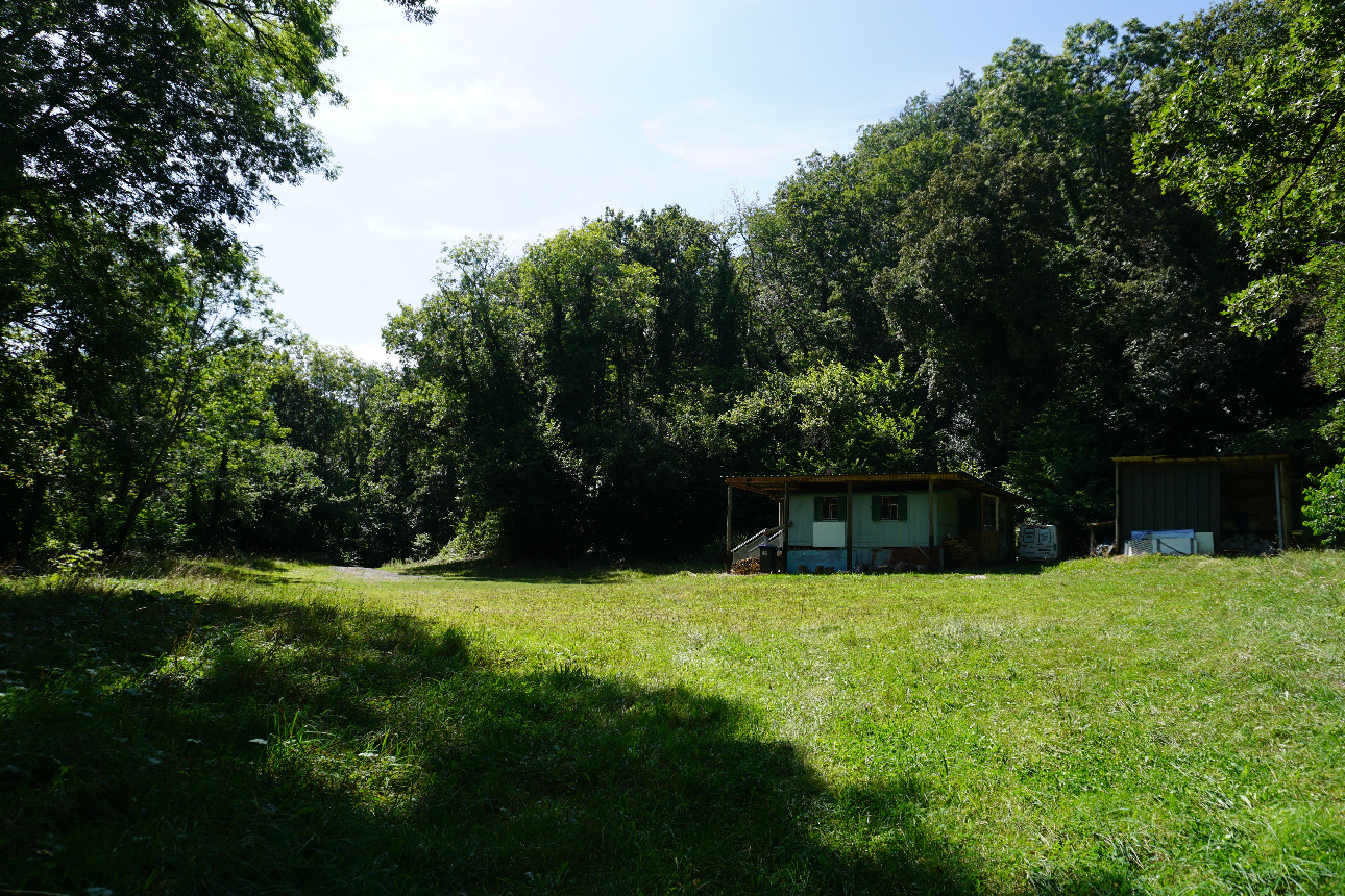 Photos 2 - Forest - Forêt mixte péri-urbaine de 5,8 ha dans le Puy-de-Dôme