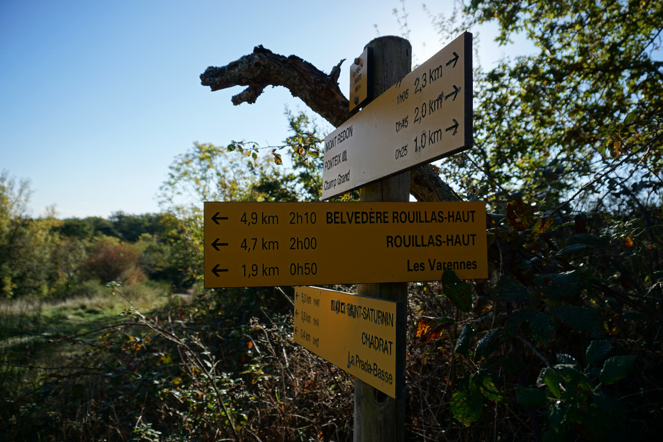 Photos 3 - Forest - Forêt mixte péri-urbaine de 5,8 ha dans le Puy-de-Dôme