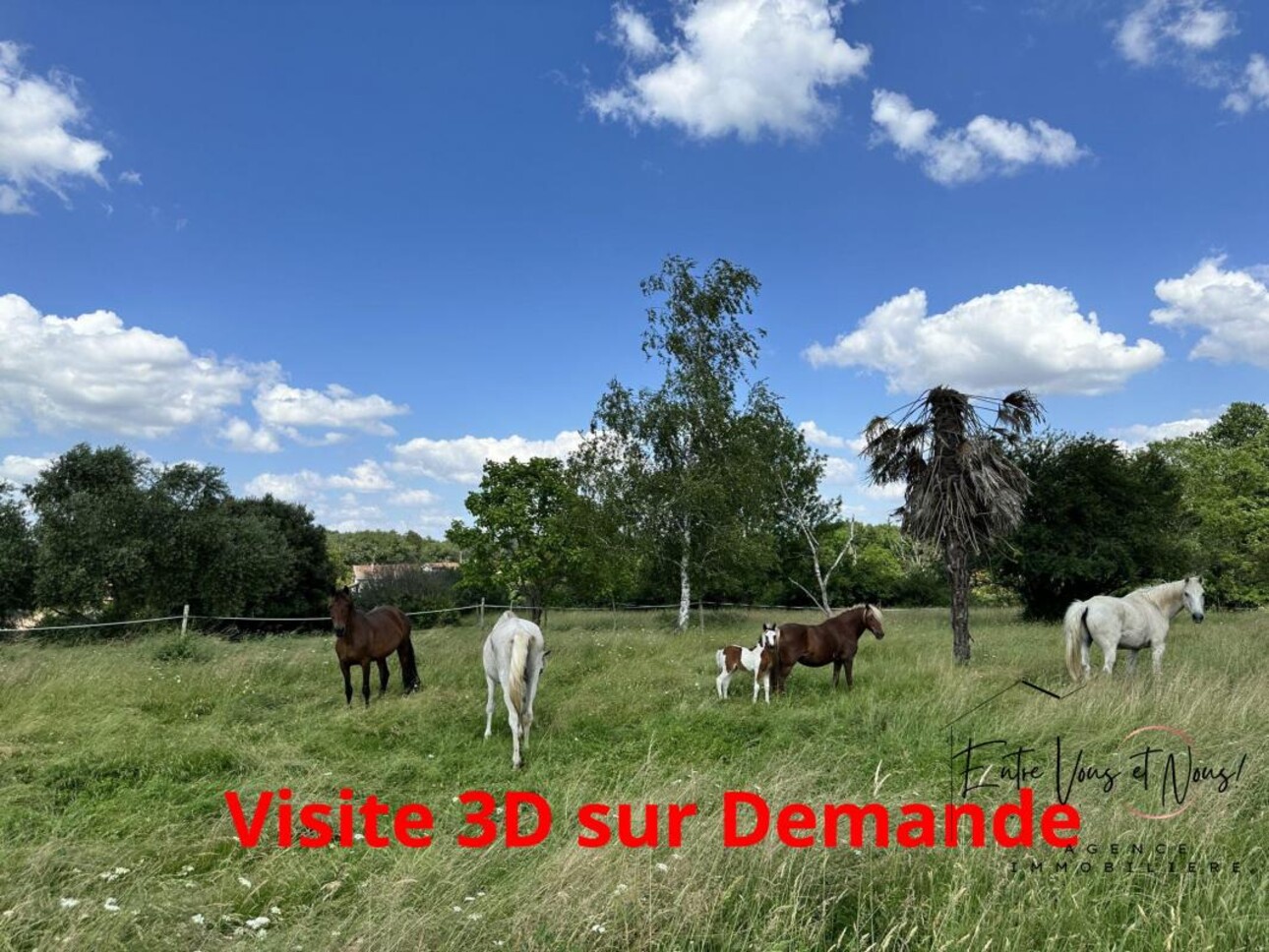 Photos 1 - Équestre - Propriété idéal chevaux, gîtes ou artisan, 1,9 hectares