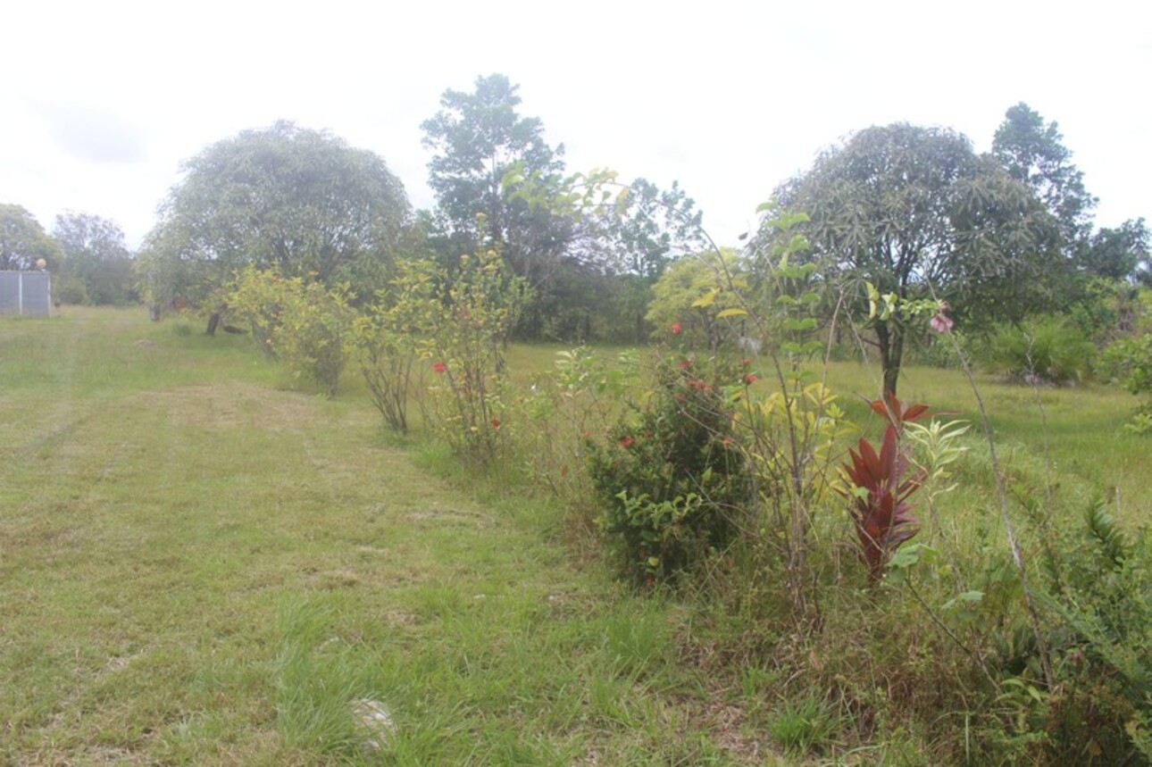 Photos 7 - Prestige - Dpt Guyane (973), à vendre MACOURIA propriete P4 - terrain 23 482m²