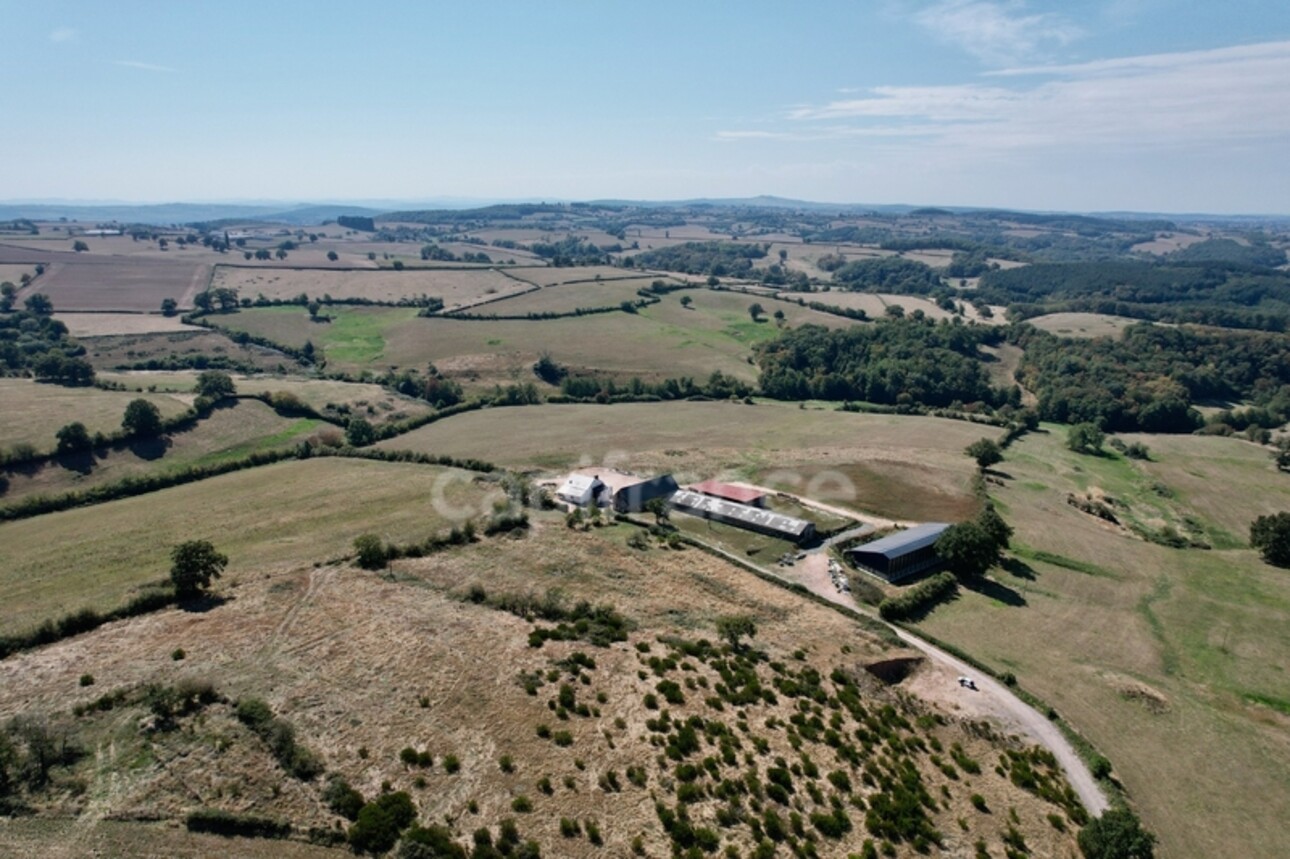 Photos 1 - Agricultural - Dpt Saône et Loire (71), à vendre VILLENEUVE EN MONTAGNE propriete P8