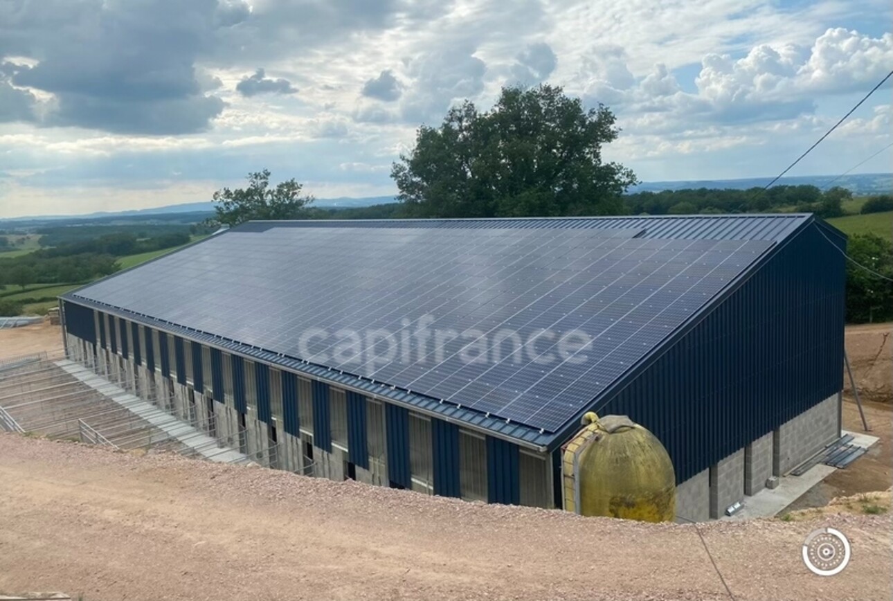 Photos 3 - Agricultural - Dpt Saône et Loire (71), à vendre VILLENEUVE EN MONTAGNE propriete P8