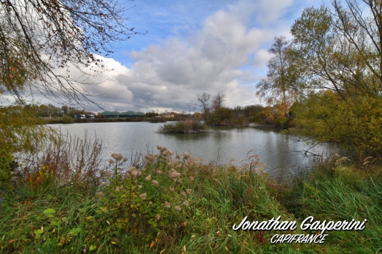 Photos 2 - Land - Terrain avec deux étangs et cabanon à vendre à CONTRISSON (55)