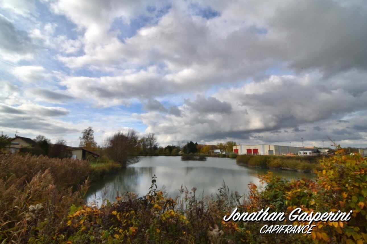 Photos 4 - Land - Terrain avec deux étangs et cabanon à vendre à CONTRISSON (55)