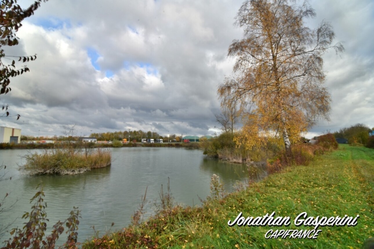 Photos 5 - Land - Terrain avec deux étangs et cabanon à vendre à CONTRISSON (55)