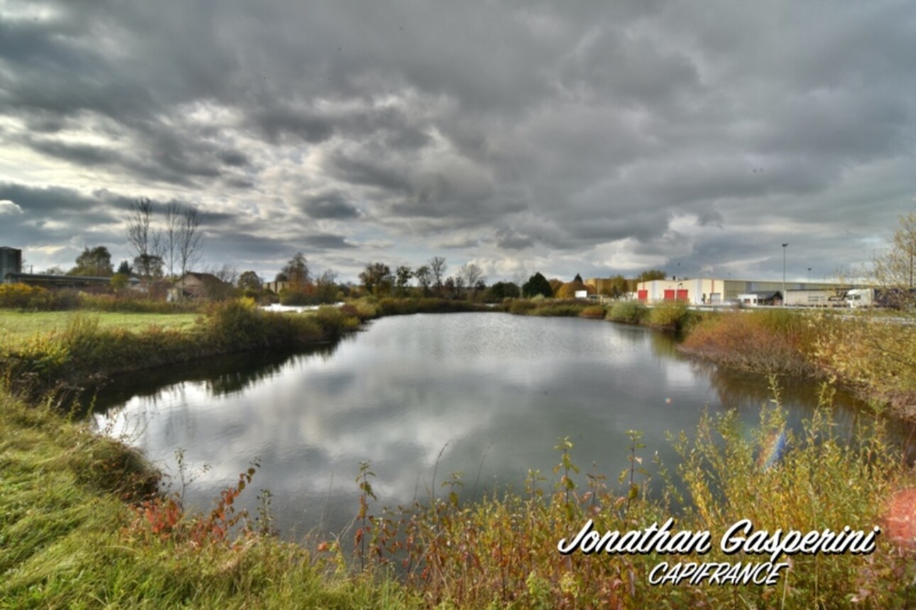 Photos 6 - Land - Terrain avec deux étangs et cabanon à vendre à CONTRISSON (55)