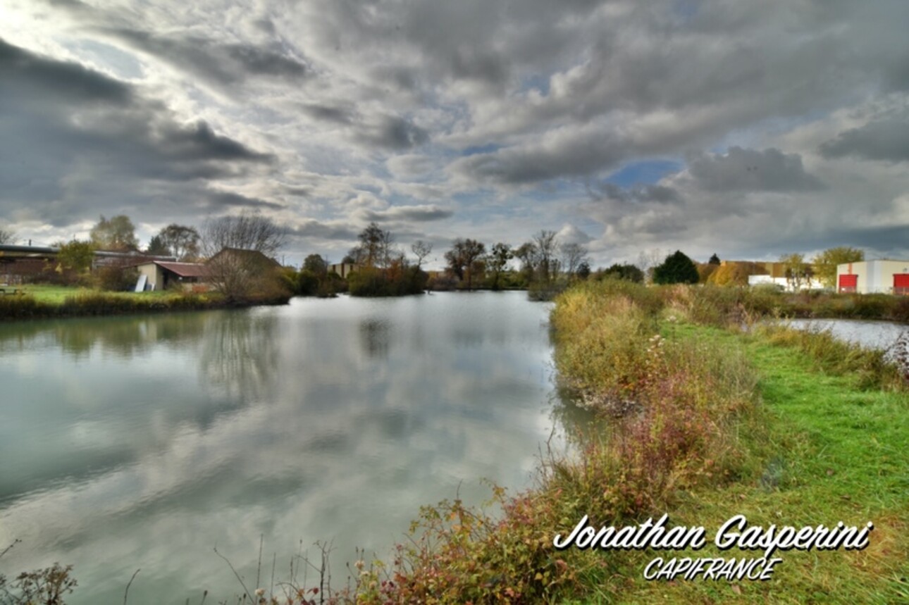 Photos 7 - Land - Terrain avec deux étangs et cabanon à vendre à CONTRISSON (55)