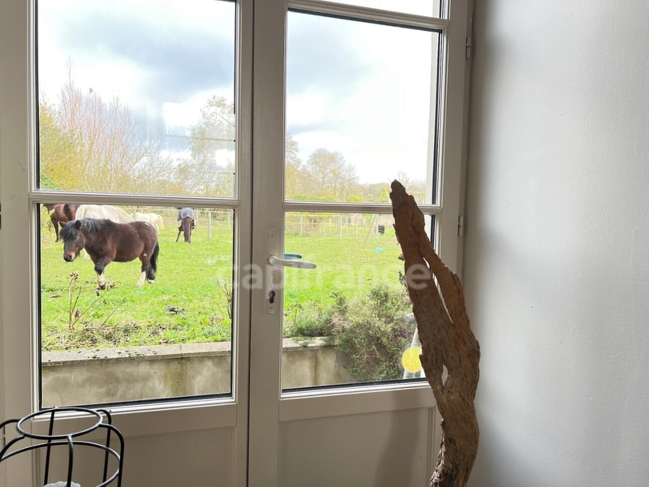 Photos 8 - Equestrian - FOR SALE - HESDIN L'ABBÉ - RENOVATED FARMHOUSE - CAPACITY OF THE COMPLEX 468 M2 - 17 ROOMS - GARAGE