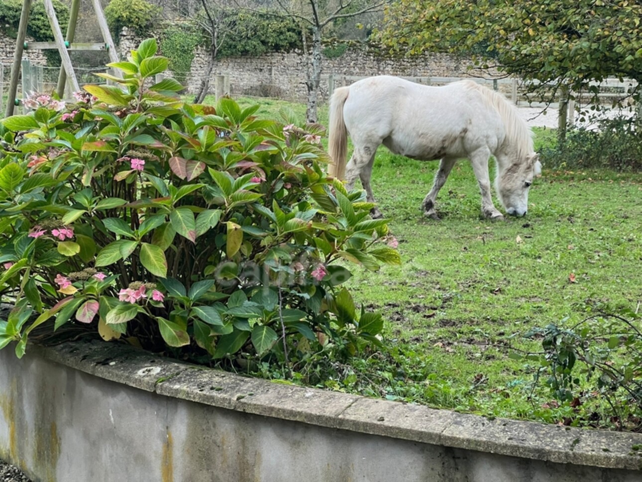 Photos 25 - Equestrian - FOR SALE - HESDIN L'ABBÉ - RENOVATED FARMHOUSE - CAPACITY OF THE COMPLEX 468 M2 - 17 ROOMS - GARAGE