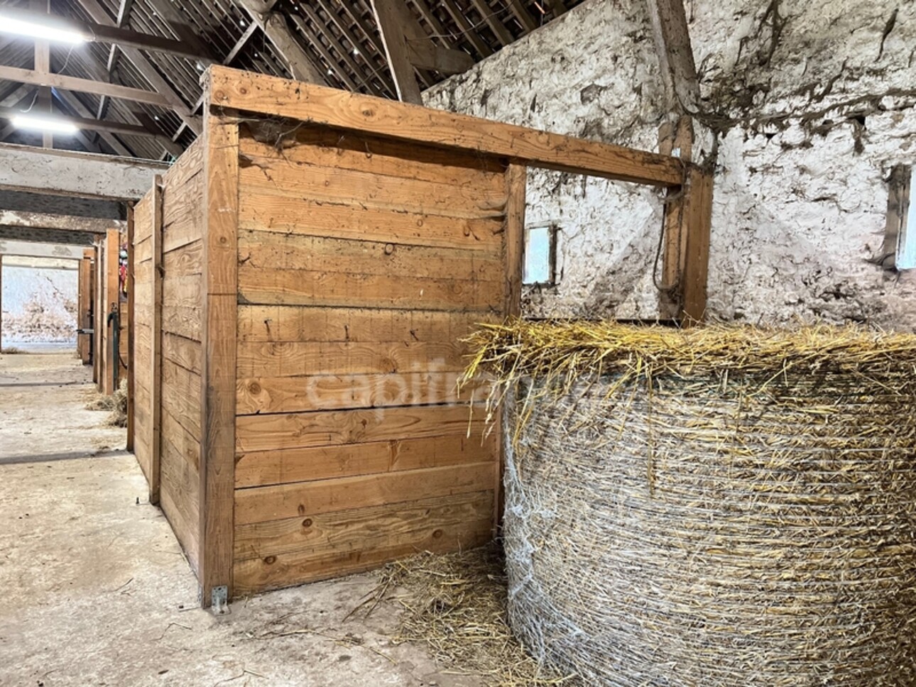 Photos 29 - Equestrian - FOR SALE - HESDIN L'ABBÉ - RENOVATED FARMHOUSE - CAPACITY OF THE COMPLEX 468 M2 - 17 ROOMS - GARAGE