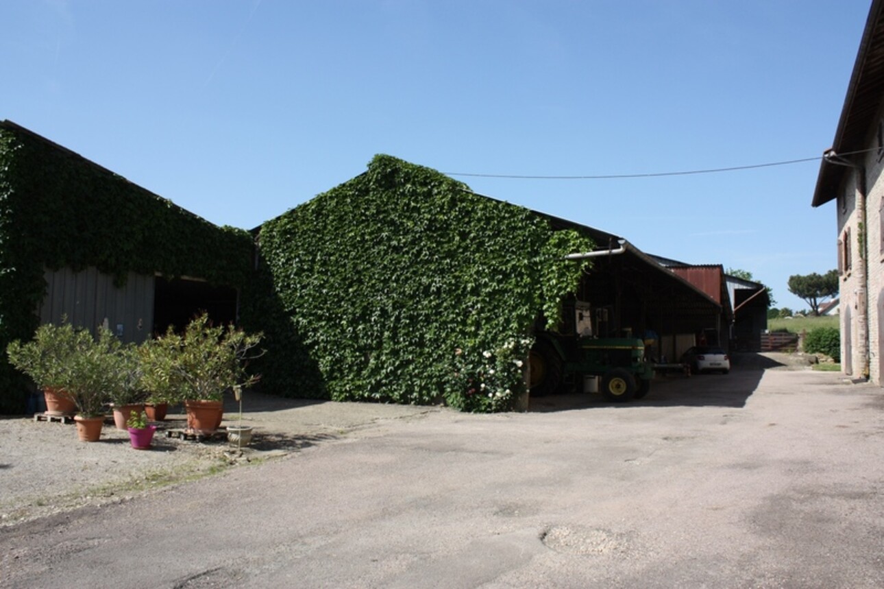 Photos 9 - Tourist - Dpt Saône et Loire (71), à vendre secteur Tournus Maison en pierre - ferme de maître sur environ 7 300 m2 de terrain à 490 000 €