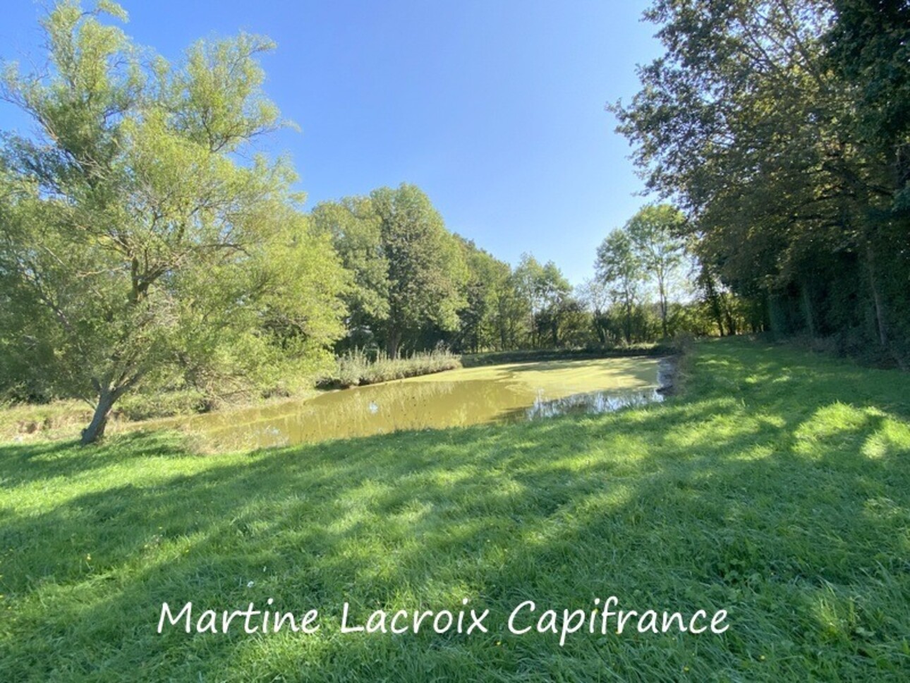 Photos 2 - Prestigious - Dpt Sarthe (72), for sale near LA FERTE BERNARD P8 property of 226 m² - Land of 2.50 Ha