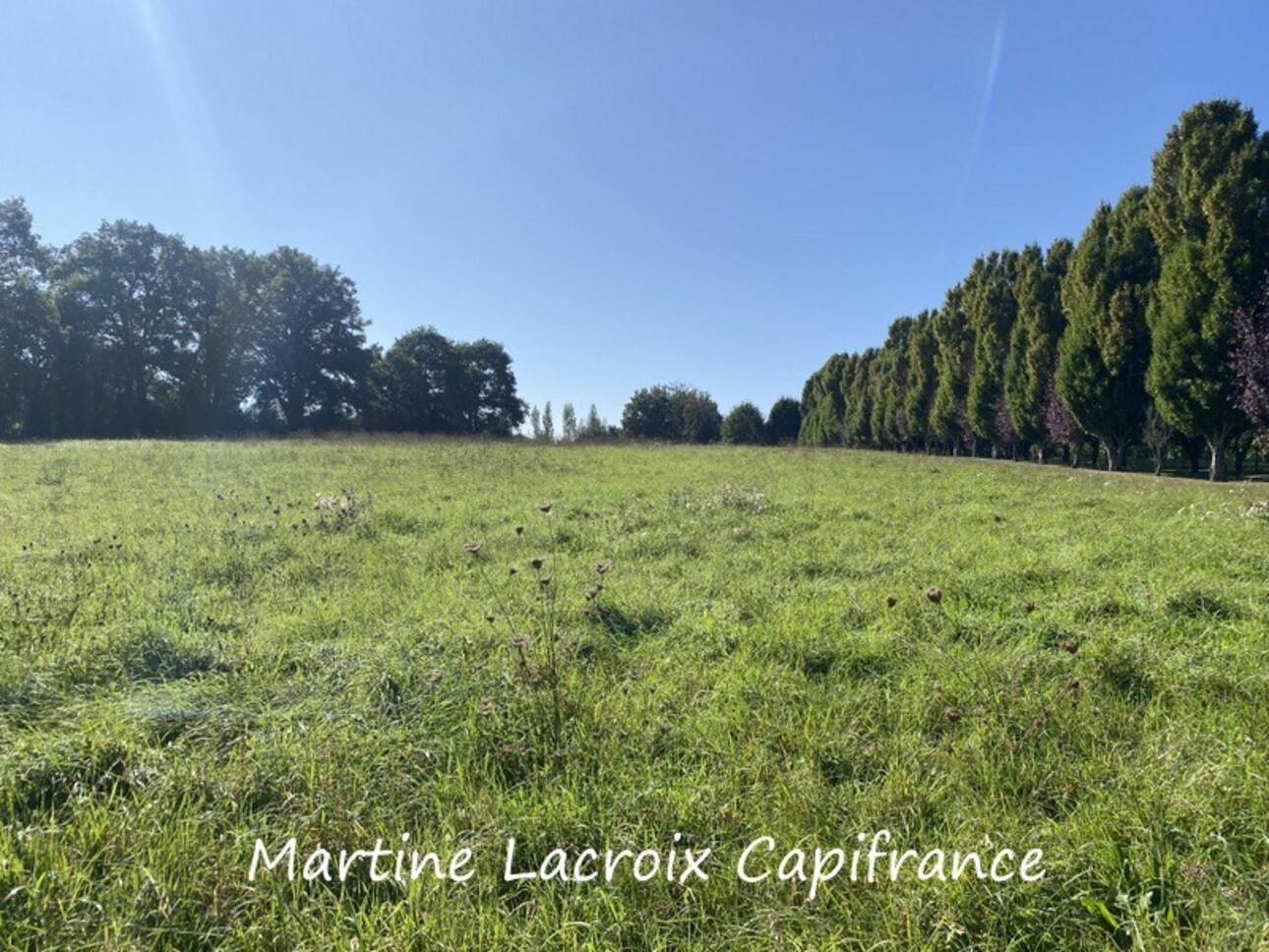 Photos 10 - Prestigious - Dpt Sarthe (72), for sale near LA FERTE BERNARD P8 property of 226 m² - Land of 2.50 Ha