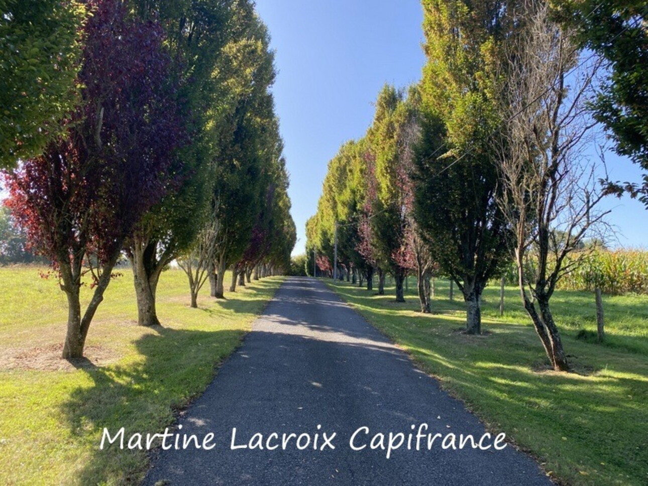 Photos 20 - Prestigious - Dpt Sarthe (72), for sale near LA FERTE BERNARD P8 property of 226 m² - Land of 2.50 Ha