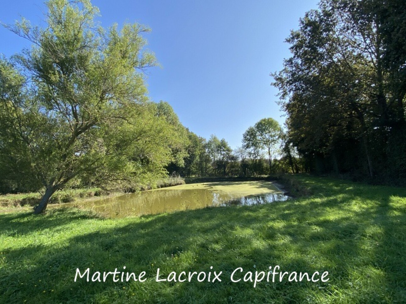 Photos 21 - Prestigious - Dpt Sarthe (72), for sale near LA FERTE BERNARD P8 property of 226 m² - Land of 2.50 Ha