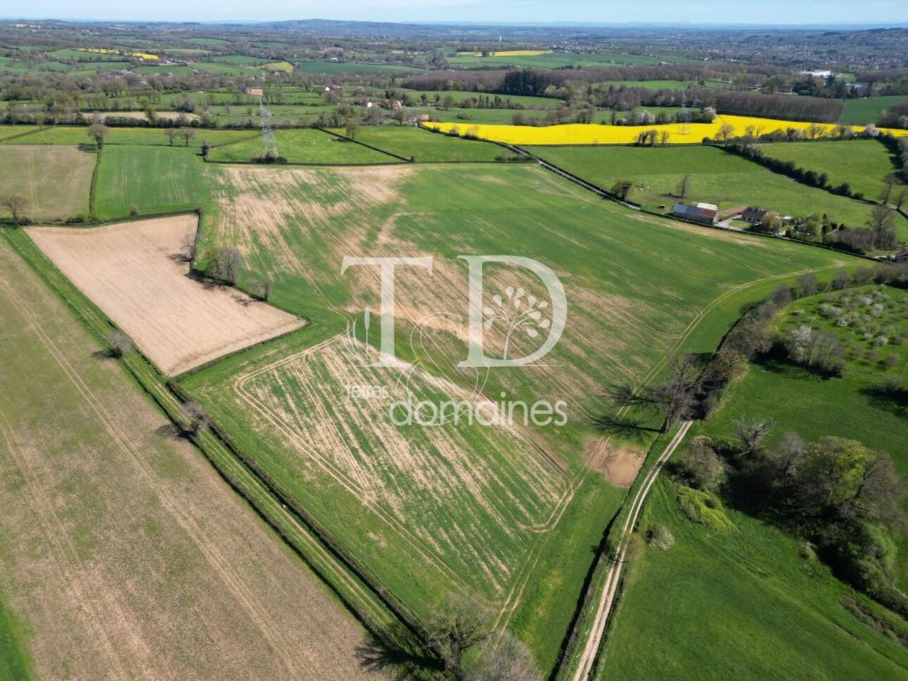 Photos 9 - Prestige - Superbe propriété rurale sur 24 hectares avec une maison d'hab