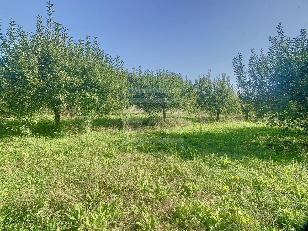 Photos 10 - Agricultural - Farming property