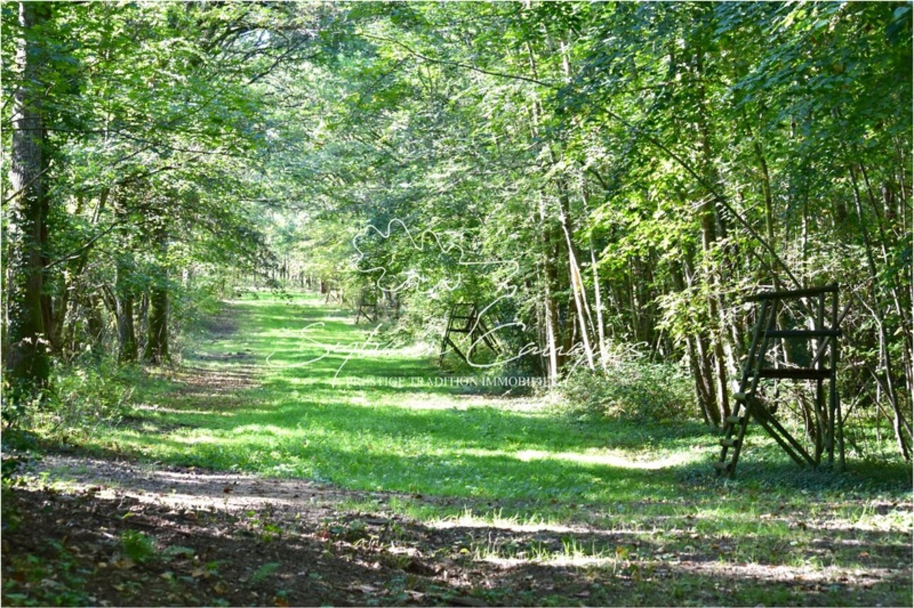 Photos 7 - Forestière - Domaine d'exception de Chasse et d'Agrément - Maison de Maître - Pavillon Chasse - Maison de Gardien - Maison d'Amis - Ferme - Dépendances - Etangs - Forêt