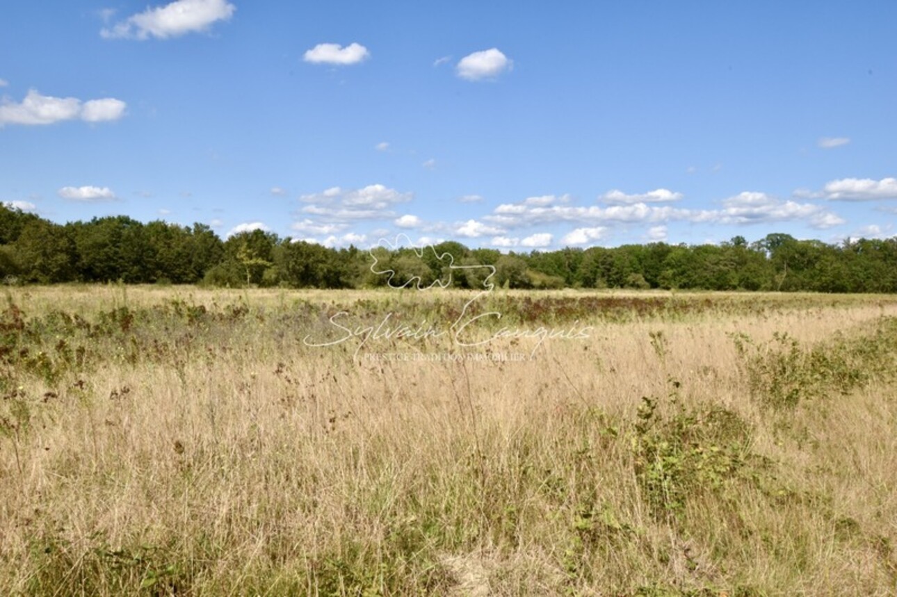 Photos 7 - Forestière - Domaine de Chasse et d'Agrément - Maison de Maître - Rendez vous de Chasse - Maison de Gardien - Maison d'Amis - Ferme - Dépendances - Etangs - Forêt