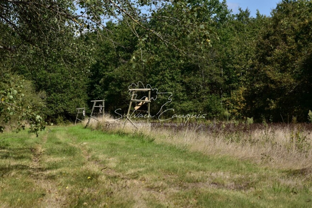 Photos 8 - Forestière - Domaine de Chasse et d'Agrément - Maison de Maître - Rendez vous de Chasse - Maison de Gardien - Maison d'Amis - Ferme - Dépendances - Etangs - Forêt