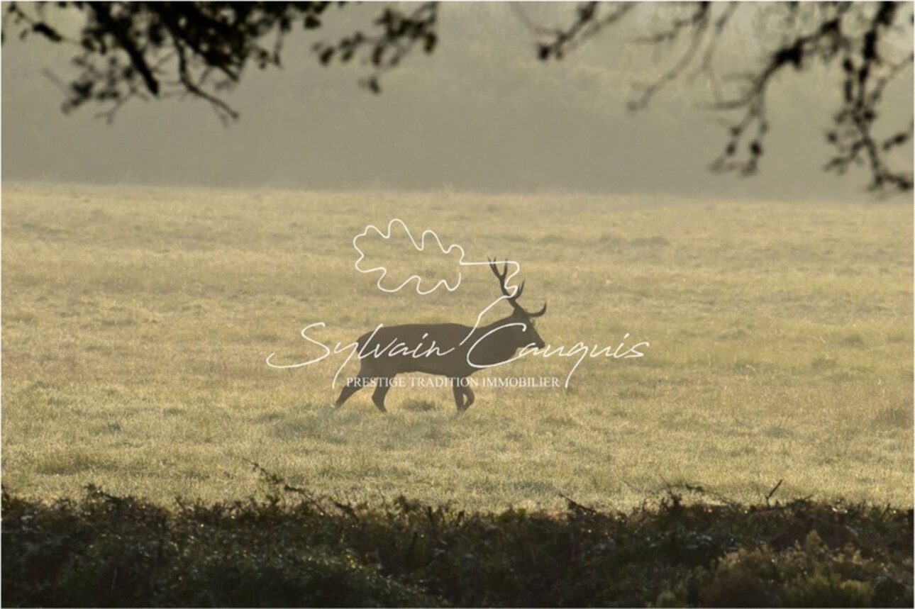 Photos 2 - Forestière - Domaine de Chasse et d'Agrément - Maison de Maître - Rendez vous de Chasse - Maison de Gardien - Maison d'Amis - Ferme - Dépendances - Etangs - Forêt