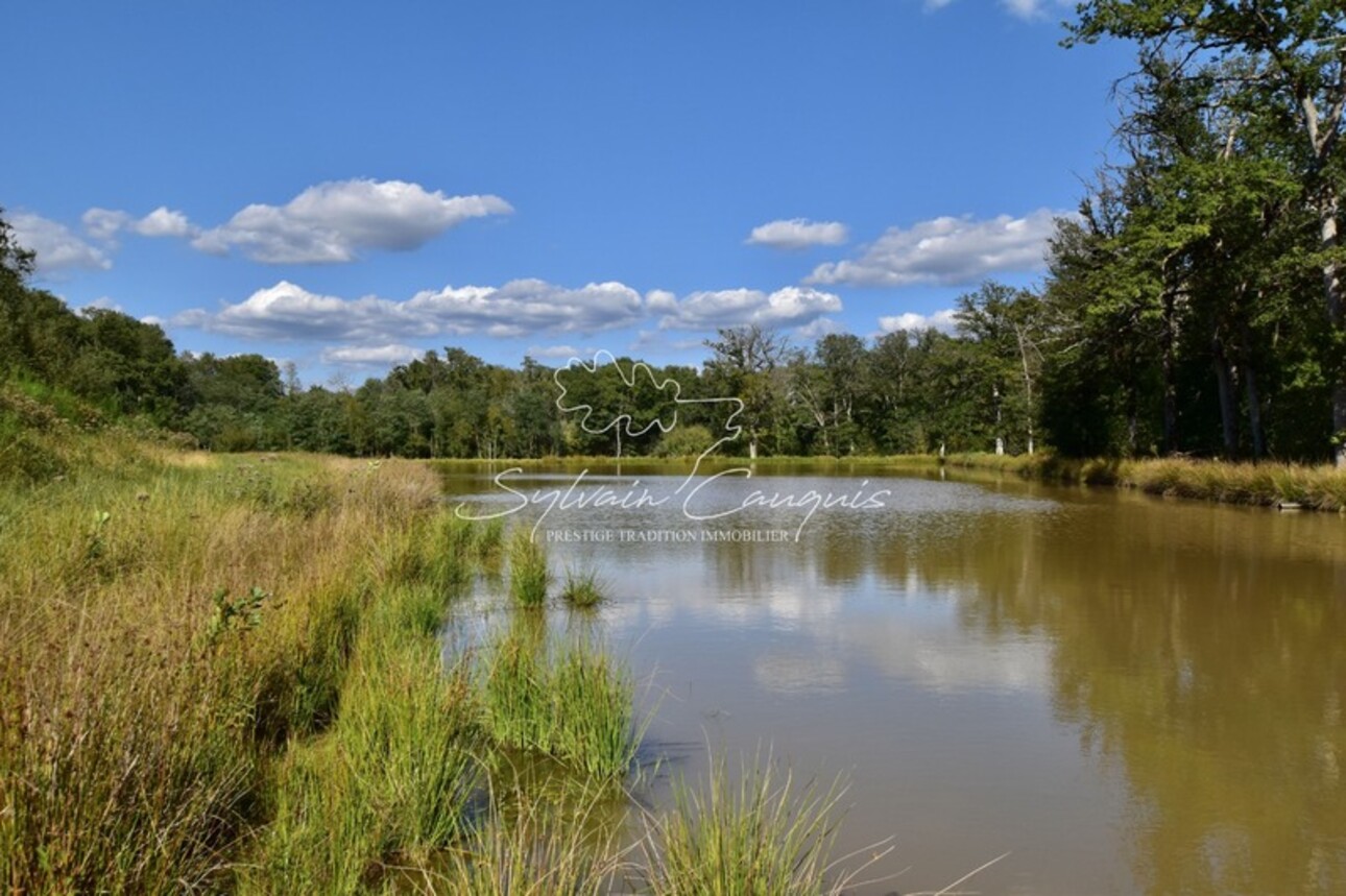 Photos 3 - Forestière - Domaine de Chasse et d'Agrément - Maison de Maître - Rendez vous de Chasse - Maison de Gardien - Maison d'Amis - Ferme - Dépendances - Etangs - Forêt