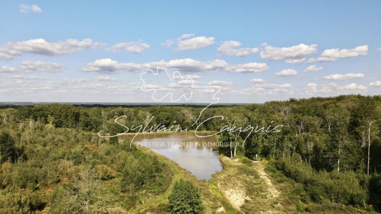 Photos 4 - Forestière - Domaine de Chasse et d'Agrément - Maison de Maître - Rendez vous de Chasse - Maison de Gardien - Maison d'Amis - Ferme - Dépendances - Etangs - Forêt