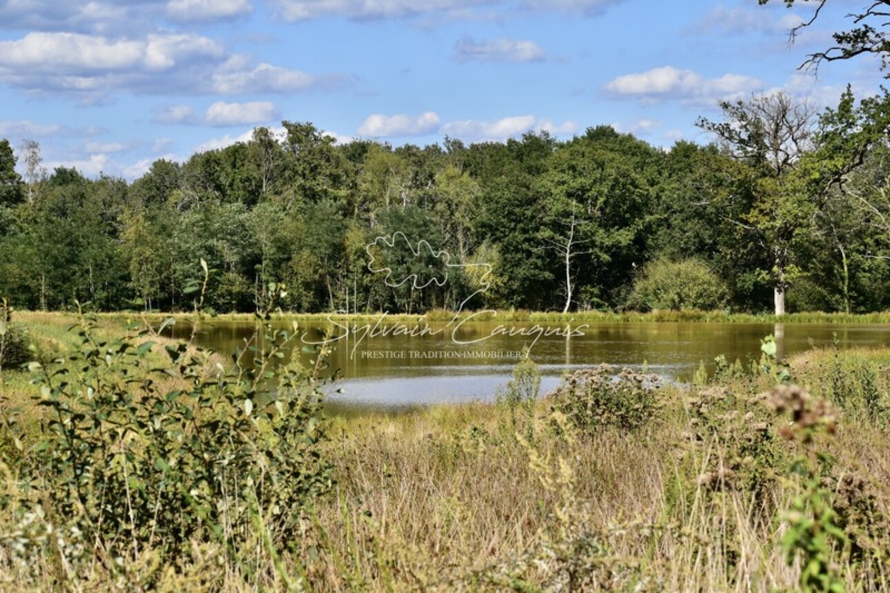 Photos 5 - Forestière - Domaine de Chasse et d'Agrément - Maison de Maître - Rendez vous de Chasse - Maison de Gardien - Maison d'Amis - Ferme - Dépendances - Etangs - Forêt