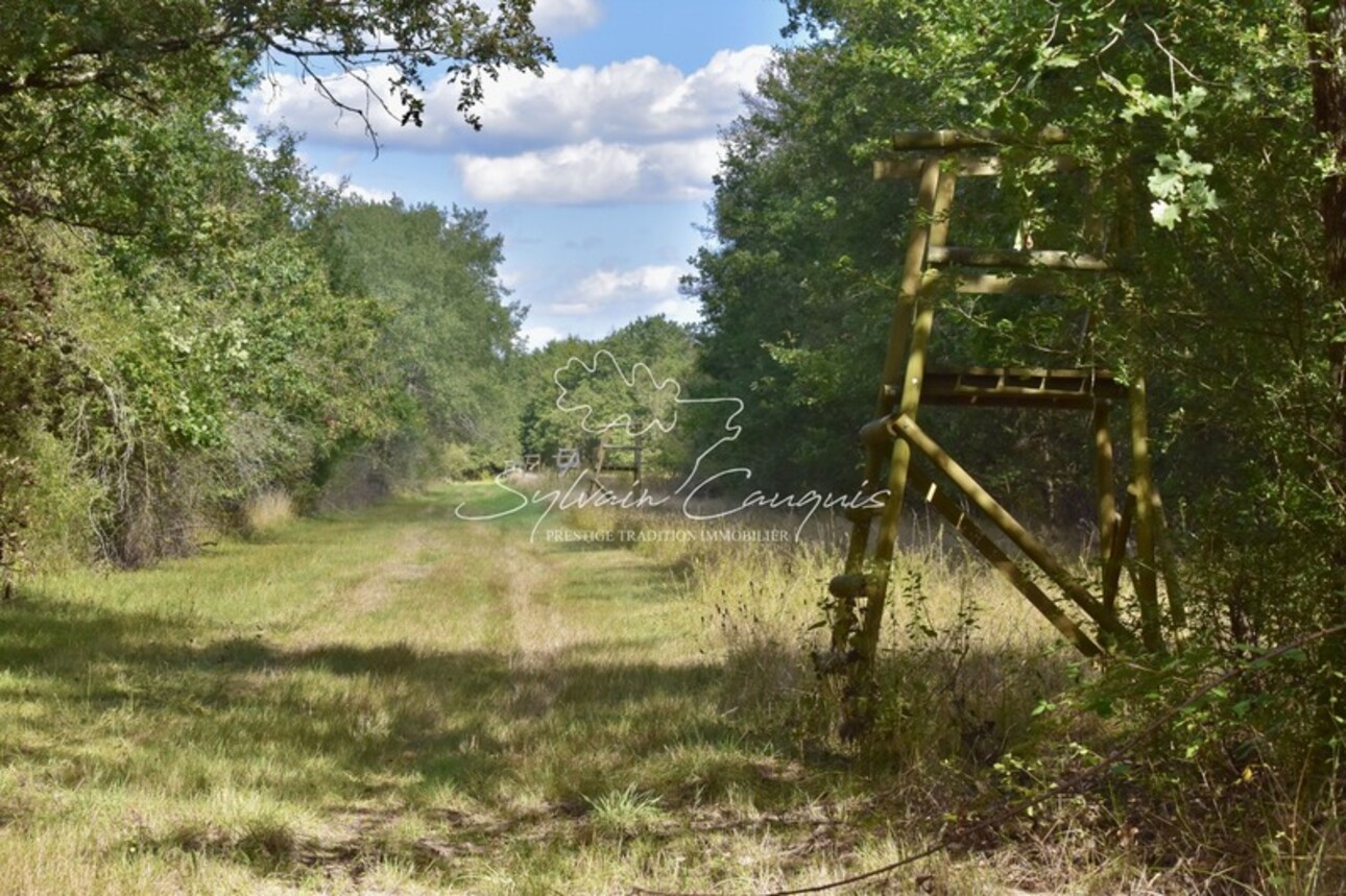 Photos 6 - Forestière - Domaine de Chasse et d'Agrément - Maison de Maître - Rendez vous de Chasse - Maison de Gardien - Maison d'Amis - Ferme - Dépendances - Etangs - Forêt