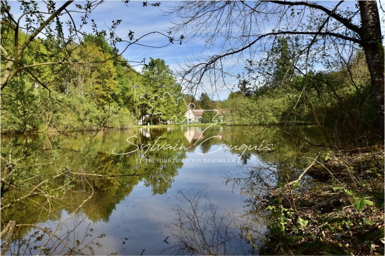 Photos 5 - Forest - Dpt Loiret (45), for sale near VANNES SUR COSSON Hunting or pleasure property - 20 ha - Longère Solo