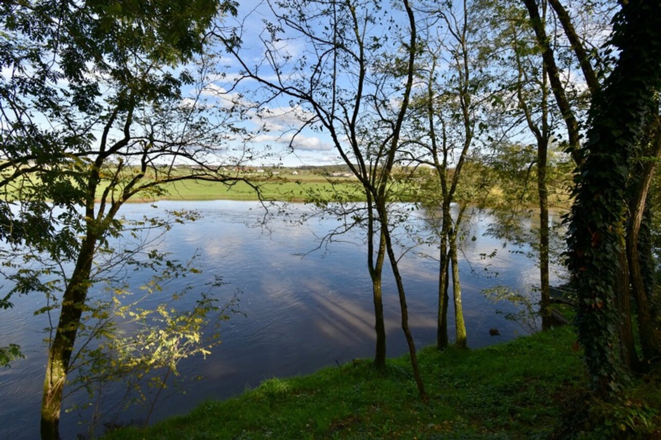 Photos 5 - Foncière - Cabanon + Terrain à vendre au bord de l'Arroux proximité Gueugnon Exclusivité Caprifrance