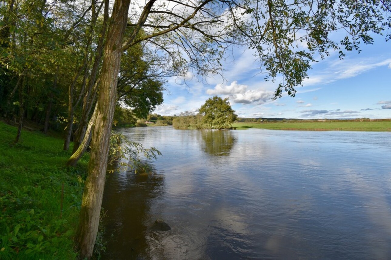 Photos 6 - Foncière - Cabanon + Terrain à vendre au bord de l'Arroux proximité Gueugnon Exclusivité Caprifrance