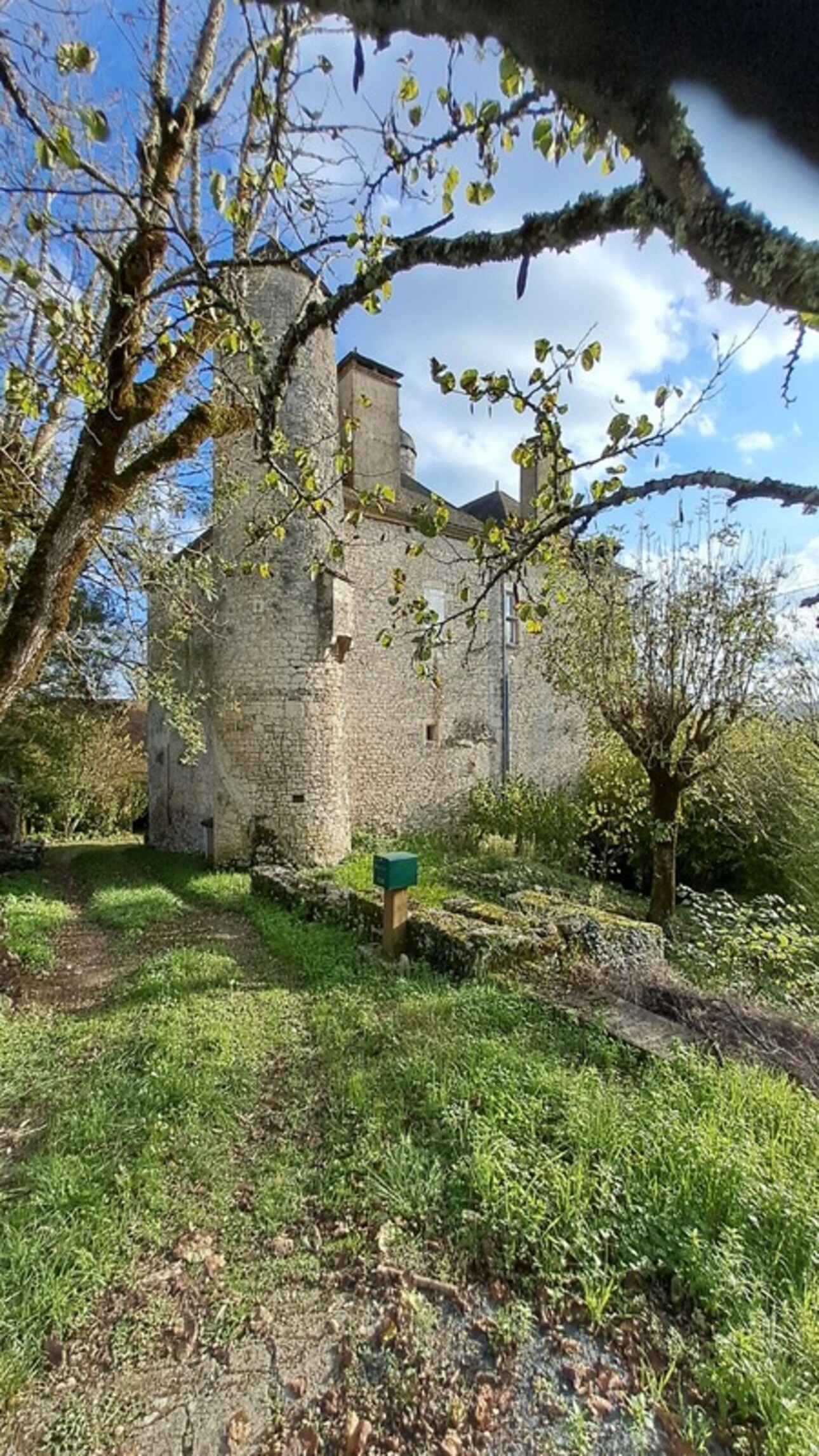 Photos 3 - Prestigious - Chateau mamoir for sale 7 rooms DORDOGNE VALLEY (46)