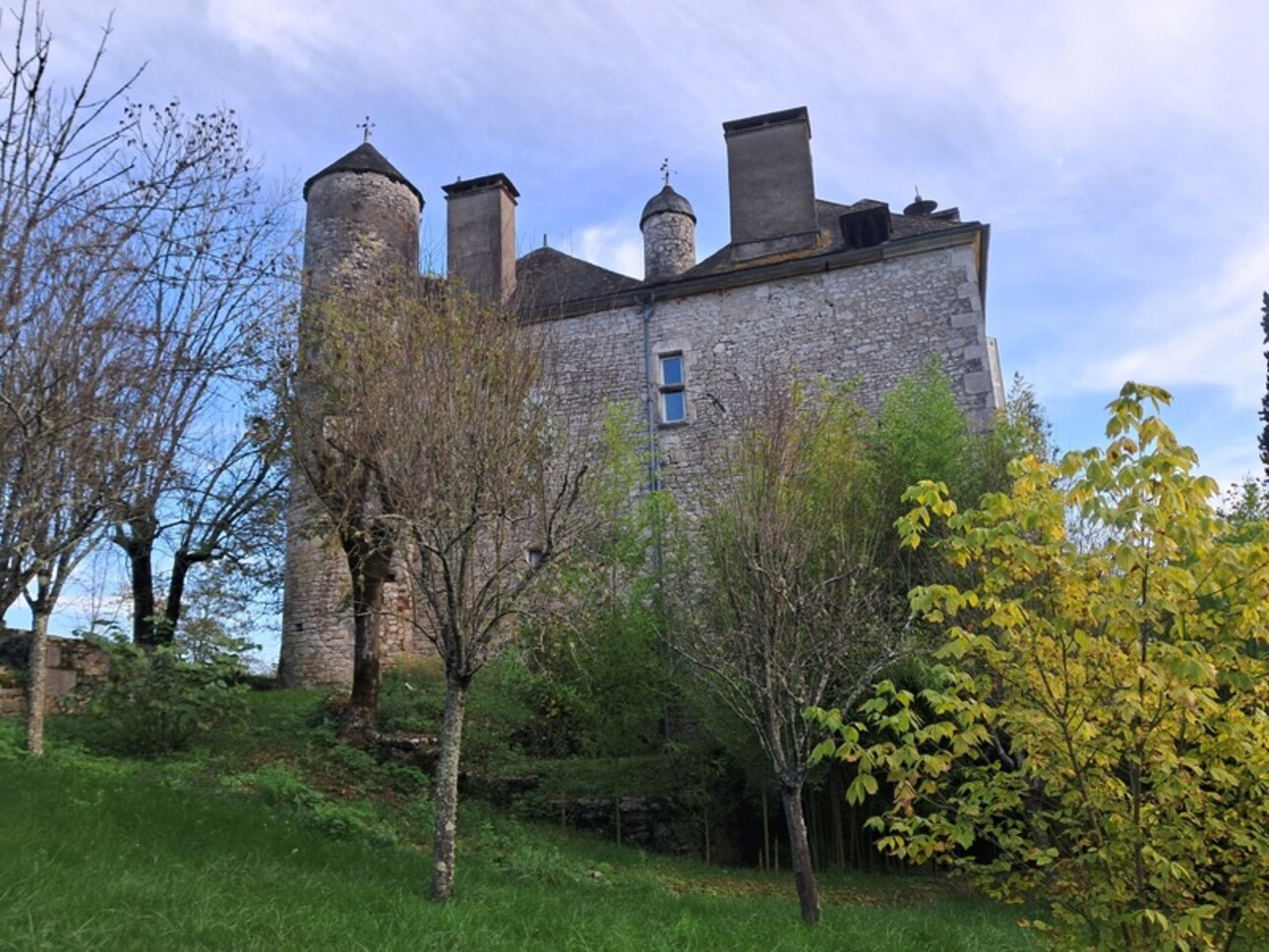 Photos 9 - Prestigious - Chateau mamoir for sale 7 rooms DORDOGNE VALLEY (46)