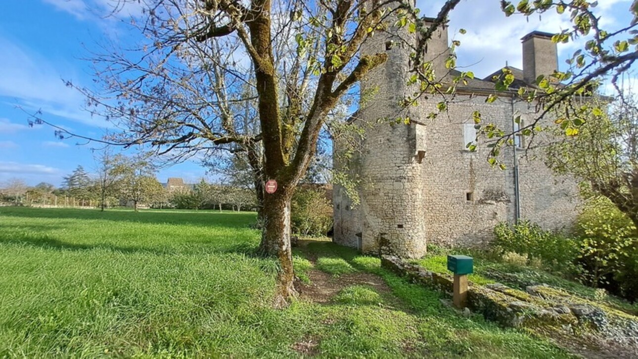 Photos 17 - Prestigious - Chateau mamoir for sale 7 rooms DORDOGNE VALLEY (46)