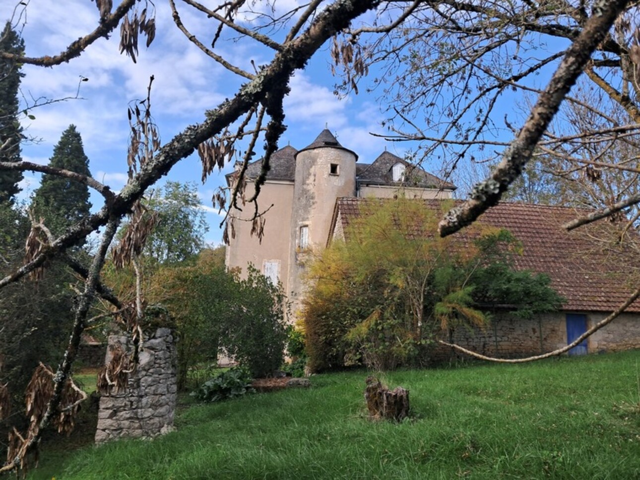 Photos 19 - Prestigious - Chateau mamoir for sale 7 rooms DORDOGNE VALLEY (46)