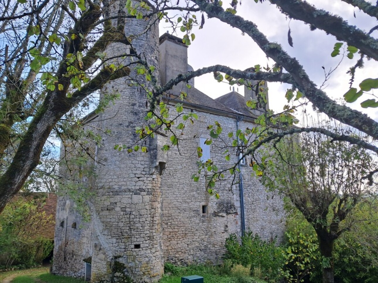 Photos 21 - Prestigious - Chateau mamoir for sale 7 rooms DORDOGNE VALLEY (46)