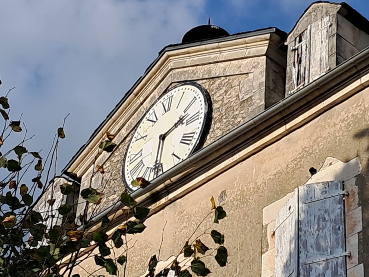 Photos 31 - Prestigious - Chateau mamoir for sale 7 rooms DORDOGNE VALLEY (46)