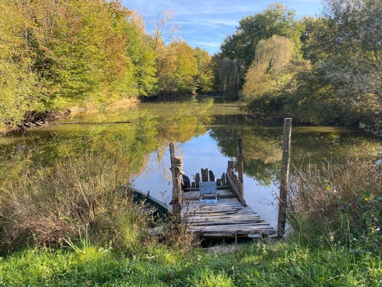 Photos 10 - Équestre - Dpt Gers (32), à vendre proche de LUPIAC propriété équeste - P14 de 375 m² - Terrain de 22 Ha - Plain pied