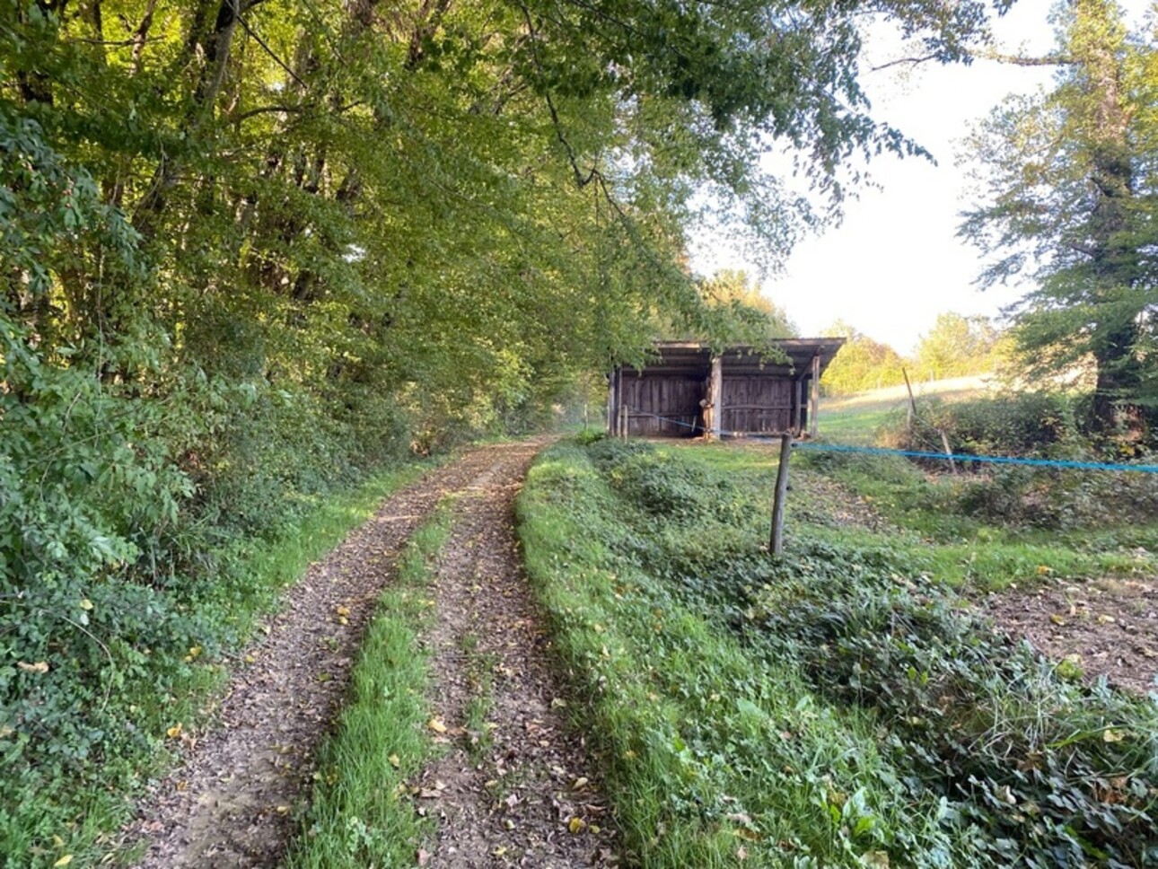 Photos 13 - Équestre - Dpt Gers (32), à vendre proche de LUPIAC propriété équeste - P14 de 375 m² - Terrain de 22 Ha - Plain pied