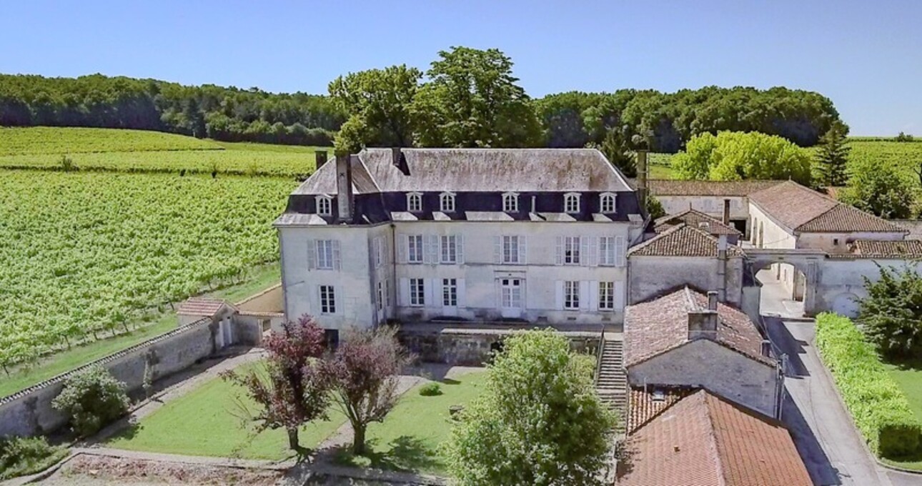 Photos 3 - Prestige - Propriete à vendre 18 pièces proche de COGNAC. Terrain de 3,2ha